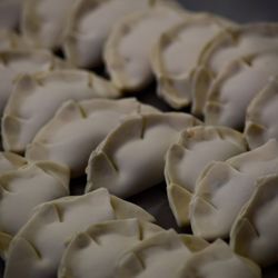 Yiche Modern Asian Cuisine - Duck Dumplings!