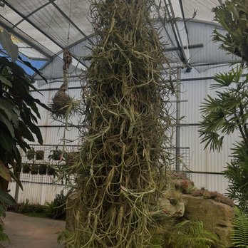 Rainforest Flora - Nurseries & Gardening Near Me - Torrance, California Rainforest Flora - Nurseries & Gardening Near Me - Torrance, California