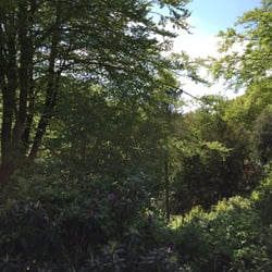 Quarry Bank Mill