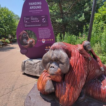 Como Park Zoo and Conservatory - Zoos Near Me - Saint Paul, Minnesota Como Park Zoo and Conservatory - Zoos Near Me - Saint Paul, Minnesota
