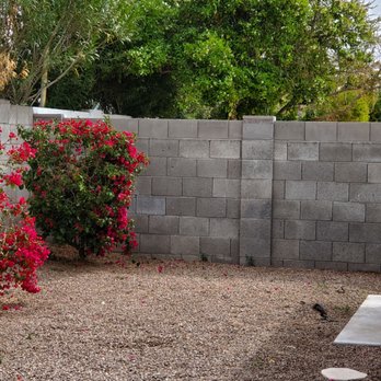 ArborCraft Tree Service - Tree Services Near Me - Phoenix, Arizona ArborCraft Tree Service - Tree Services Near Me - Phoenix, Arizona