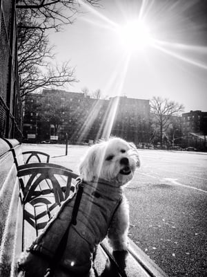 Travers Park by null