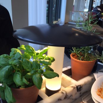 Vapiano - Italian Near Me - Paris, 75 Vapiano - Italian Near Me - Paris, 75