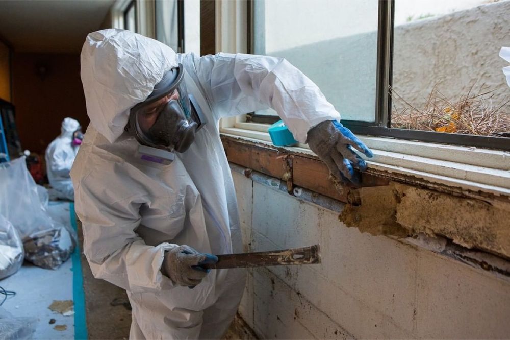 Insurance Restoration Xperts - mold inspector in Walnut, CA