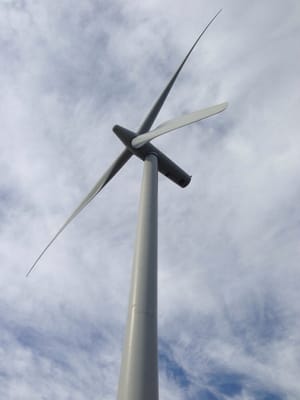 Whitelee wind farm by null