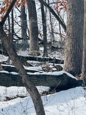 Westwood Hills Nature Center by null