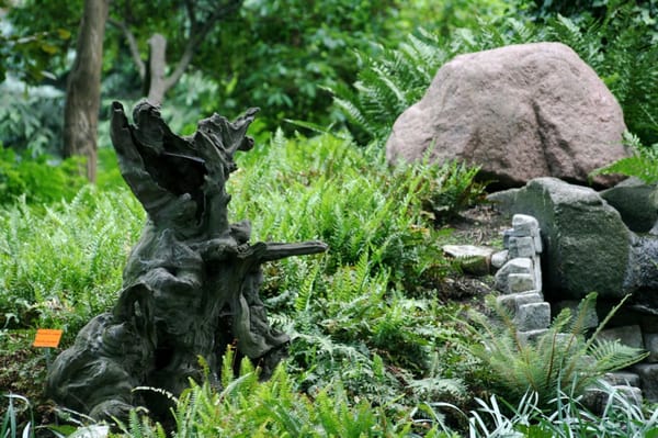 Botanical Garden of the University of Wrocław by null