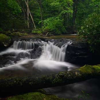 Holly River State Park - Parks Near Me
