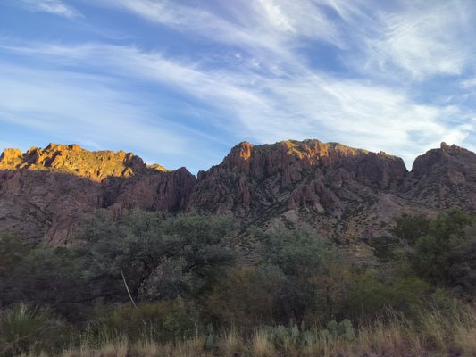 Chisos Basin Campground by null