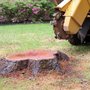 Photo of Alligator Stump Grinding