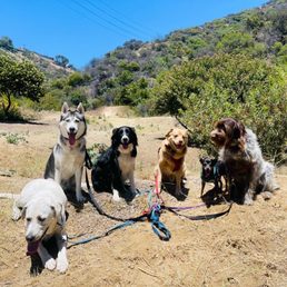 Adventure hike! Adventure hike!