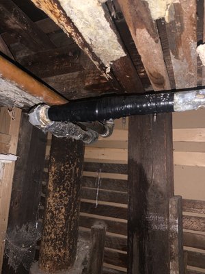 Dani’s Plumbing Services Logo