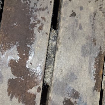 LA Fitness - Wood seat gaps in the sauna full of ????-  NASTY! - Gyms Near Me - Windermere, Florida