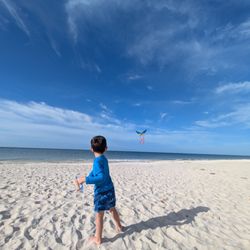 Island Inn - Perfect for flying a kite!