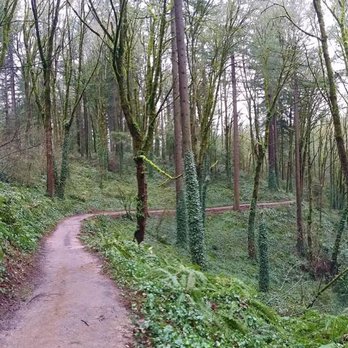 Wildwood Trail - Hiking Near Me - Portland, Oregon Wildwood Trail - Hiking Near Me - Portland, Oregon