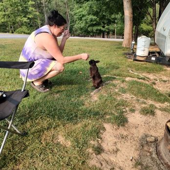Shenandoah Valley Campground - Bunny - Campgrounds Near Me - Verona, Virginia Shenandoah Valley Campground - Bunny - Campgrounds Near Me - Verona, Virginia
