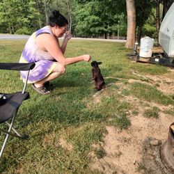 Shenandoah Valley Campground - Bunny