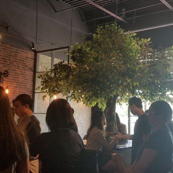 The Alley Bur Oak - Bubble Tea Near Me - Markham, Ontario The Alley Bur Oak - Bubble Tea Near Me - Markham, Ontario