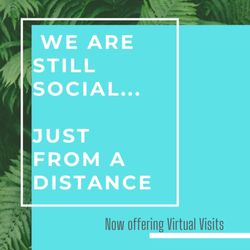 Beverly Hills Orthodontics