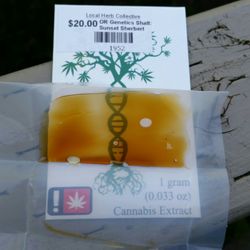 Local Herb Collective - Sunset Sherbert shatter