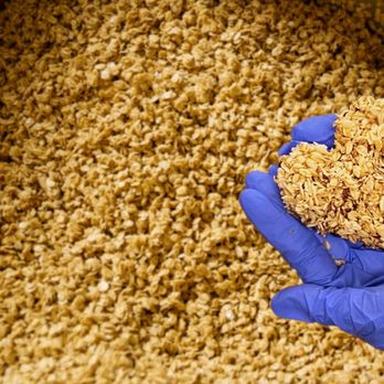 Mother Nature's Granola - Specialty Food Near Me - Yucaipa, California Mother Nature's Granola - Specialty Food Near Me - Yucaipa, California