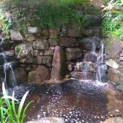 Vicente's Ponds - We specialize in bringing serenity to your life and to your garden