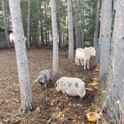 Engelke Farm