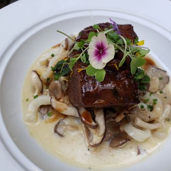Zoubi - Short Ribs with Scallop pasta. Amazing sauce. Excellent mushrooms - New American Near Me - New Hope, Pennsylvania Zoubi - Short Ribs with Scallop pasta. Amazing sauce. Excellent mushrooms - New American Near Me - New Hope, Pennsylvania
