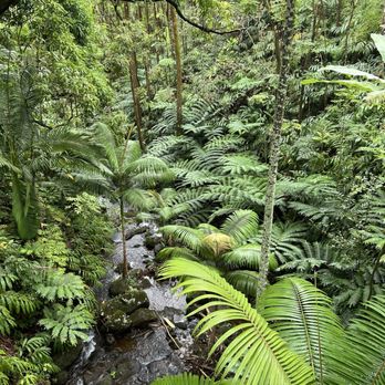 Botanical World Adventures - Botanical Gardens Near Me - Hakalau, Hawaii