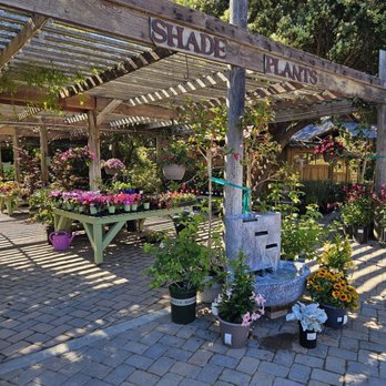 Cambria Nursery and Florist - Nurseries & Gardening Near Me - Cambria, California Cambria Nursery and Florist - Nurseries & Gardening Near Me - Cambria, California