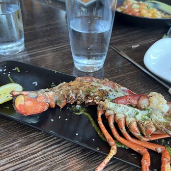 Amada - Lobster (half size) - Tapas Bars Near Me - Atlantic City, New Jersey