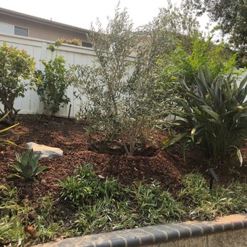 Moon Valley Nurseries - Tree Services Near Me - Irvine, California Moon Valley Nurseries - Tree Services Near Me - Irvine, California