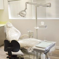 Zeynep Ulku DDS, DMSc