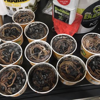 DICK'S Sporting Goods - These are dead, frozen-stiff and rotting nightcrawlers. 11 containers full. - Outdoor Gear Near Me - Glendale, California