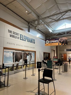 Denver Museum of Nature & Science by null