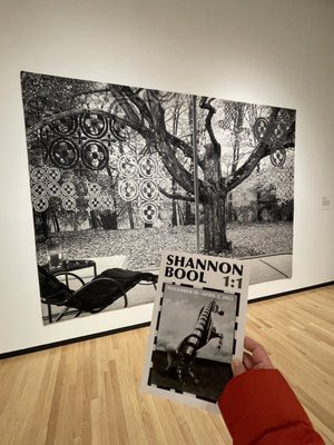 Museum of Contemporary Photography by null