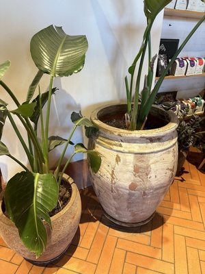 Afficionado Coffee Roasters by null