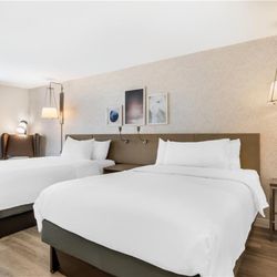 Hilton Garden Inn Montgomery - EastChase - Guest room