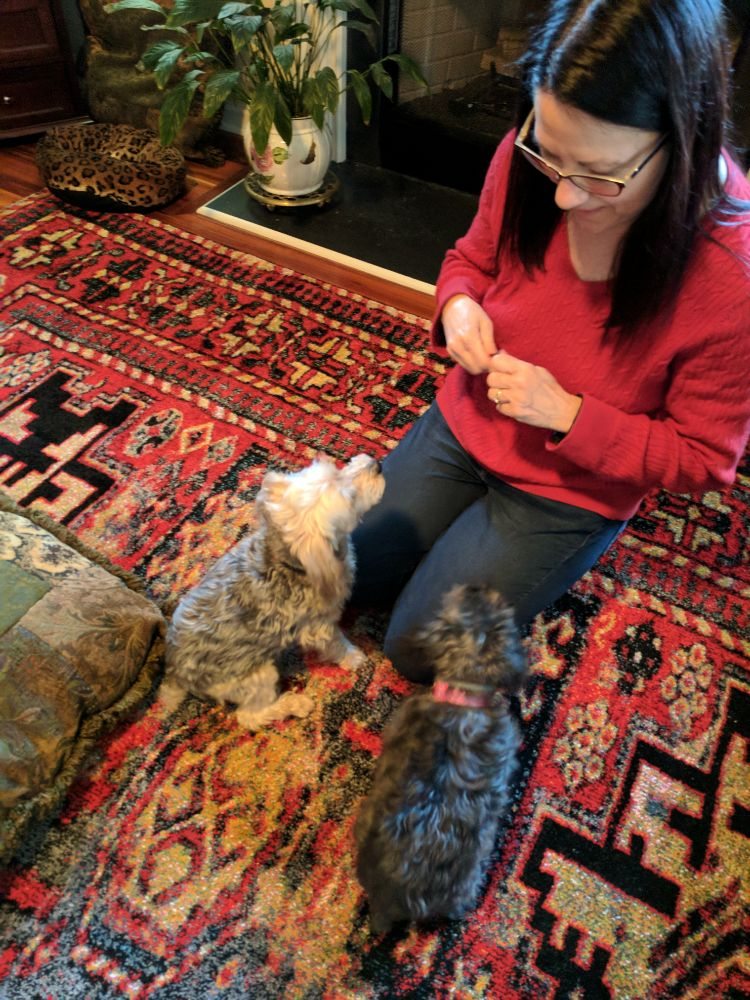 HOUND ABOUT TOWN Updated August 2024 10 Photos Simpsonville