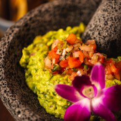 Chabella Miami