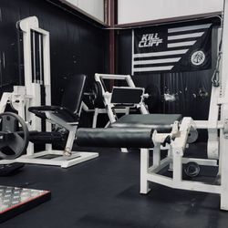 Pain & Gain