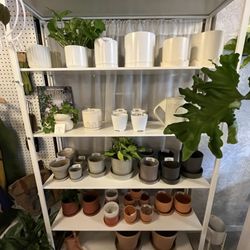 Rooted Living - Pottery Galore