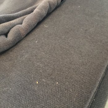 J & C Pro Cleaners - Cat hair on couch not cleaned. - Home Cleaning Near Me - Los Angeles, California J & C Pro Cleaners - Cat hair on couch not cleaned. - Home Cleaning Near Me - Los Angeles, California