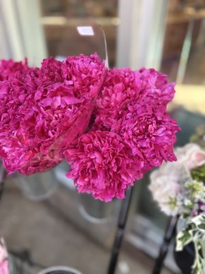 Metropolitan Market by null