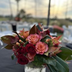 Square Root - Dinner arrangement