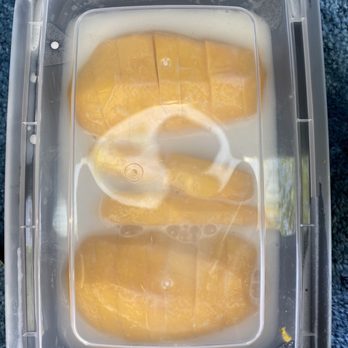 Thai Thai Restaurant - Mango and Sticky Rice Dessert was delicious - Thai Near Me - Fallbrook, California Thai Thai Restaurant - Mango and Sticky Rice Dessert was delicious - Thai Near Me - Fallbrook, California