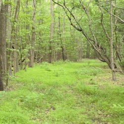 Rappahannock River Valley National Wildilfe Refuge