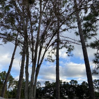 Wickham Park - Parks Near Me - Melbourne, Florida Wickham Park - Parks Near Me - Melbourne, Florida
