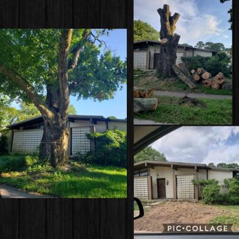 Treeco Tree Care - Tree Services Near Me - Kenner, Louisiana Treeco Tree Care - Tree Services Near Me - Kenner, Louisiana