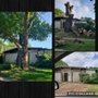 Photo of Treeco Tree Care